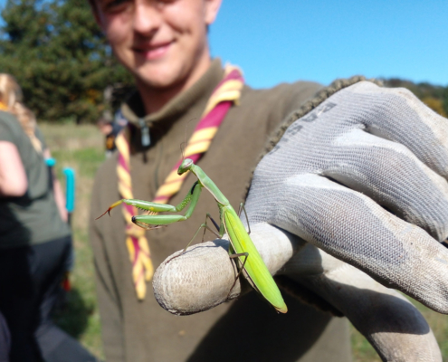 Die Dänen beim Pflegetermin am Giesshuebl