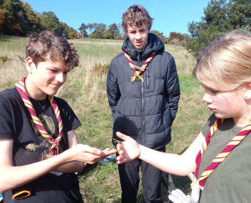 Dänisce Pfadis beim Pflegetermin am Giesshuebl Dänisce Pfadis beim Pflegetermin am Giesshuebl